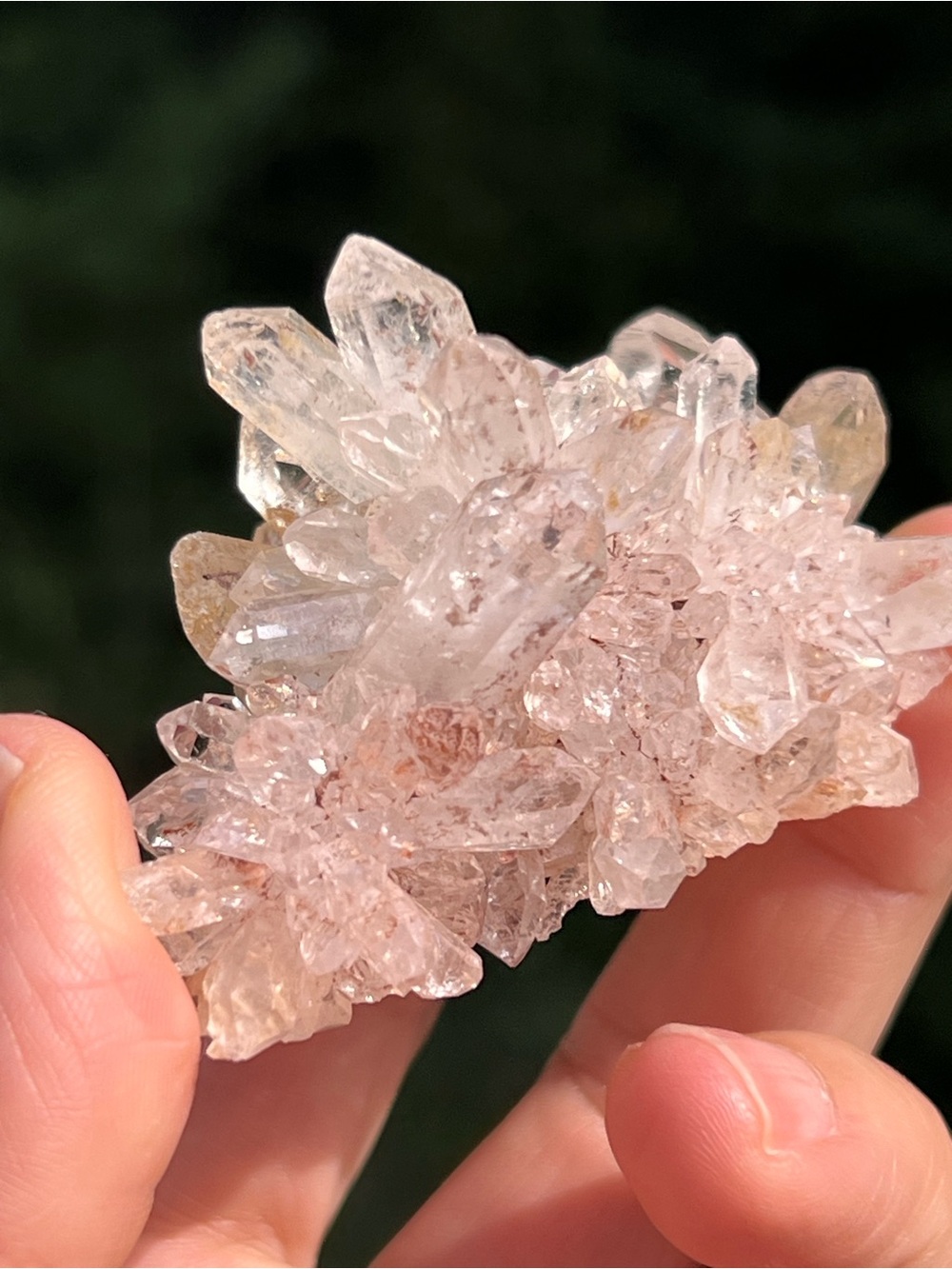 Pink (1) lemurian quartz cluster | crystal